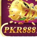 PKR888