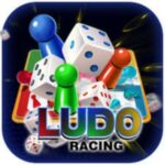 ludo racing game