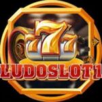 LudoSlot1 Game APK