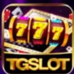 TG Slot Game