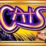 slots cat game