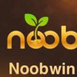 noob win game