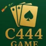 C444 Game